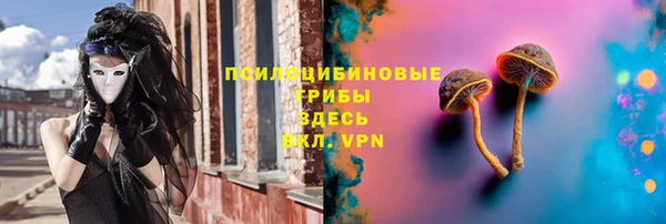Альфа ПВП Аркадак