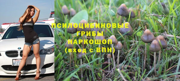 Альфа ПВП Аркадак